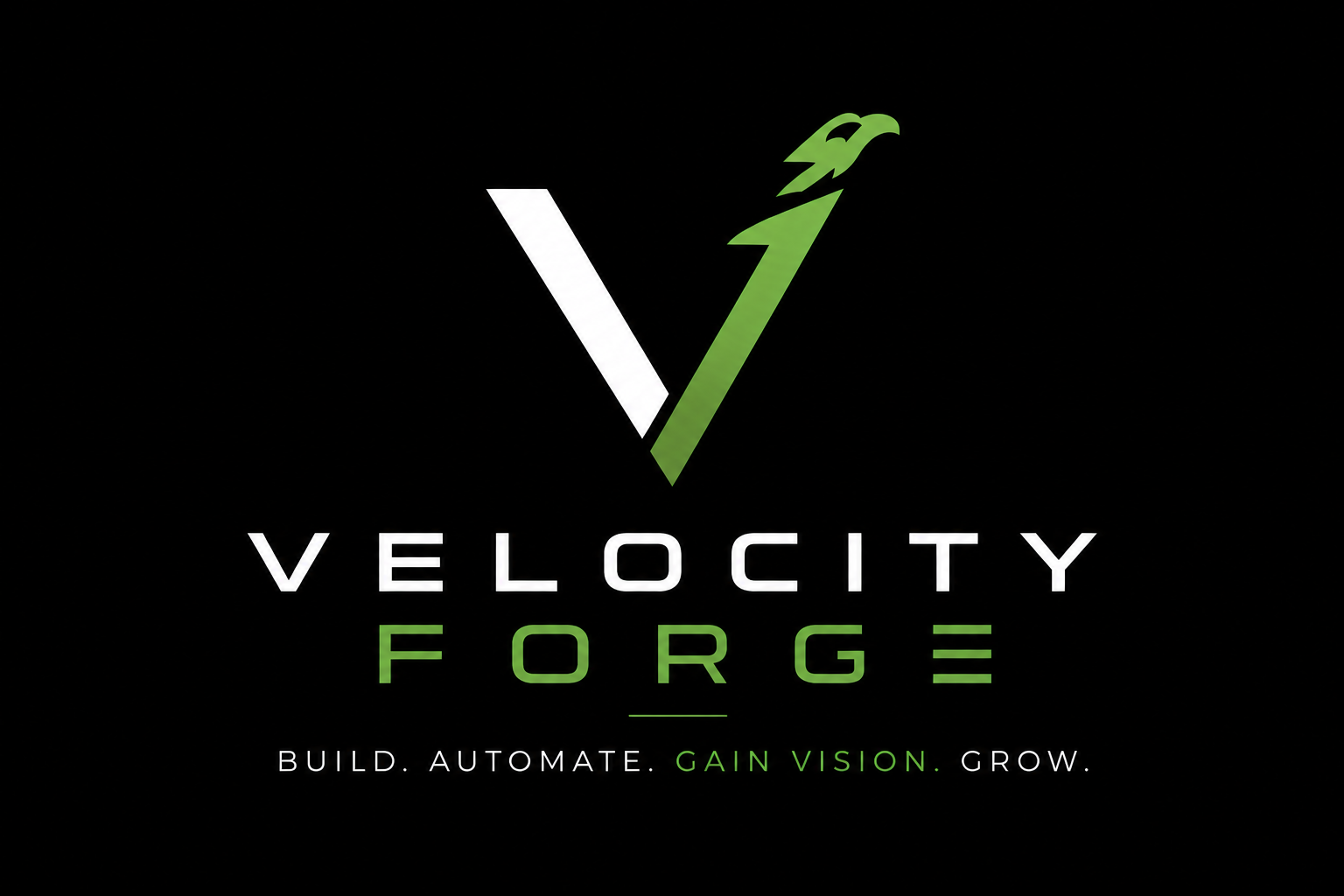 Velocity Forge — Build. Automate. Gain Vision. Grow.